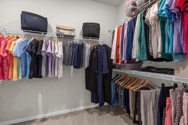 walk in closet featuring carpet flooring