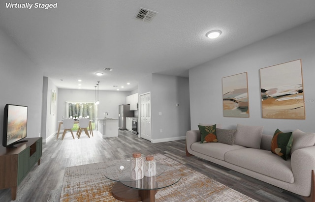 living room featuring sink, hardwood / wood-style floors, and a textured ceiling