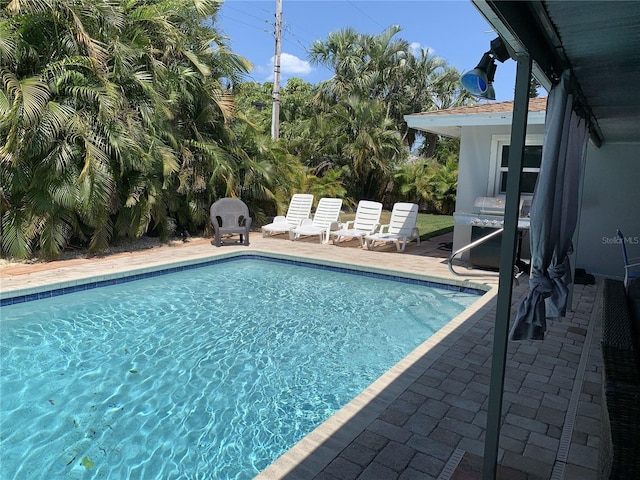 view of swimming pool with a grill and a patio area