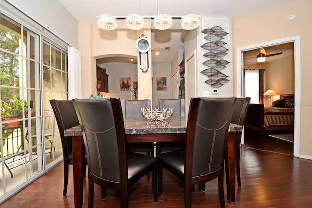 dining space with a healthy amount of sunlight and dark hardwood / wood-style flooring