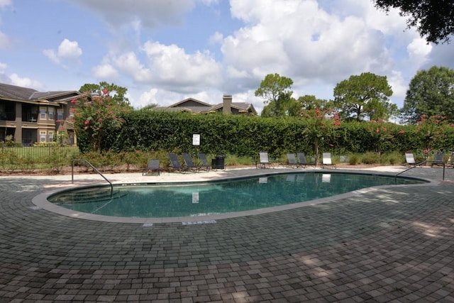 view of pool featuring a patio