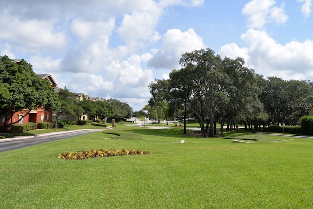 view of community featuring a lawn