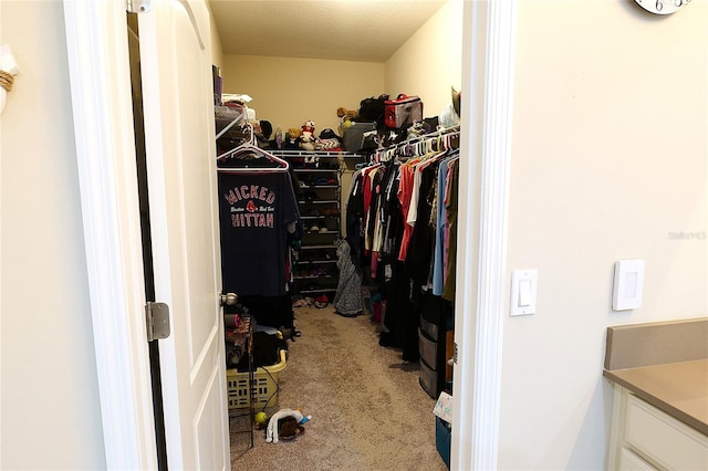 spacious closet with light colored carpet