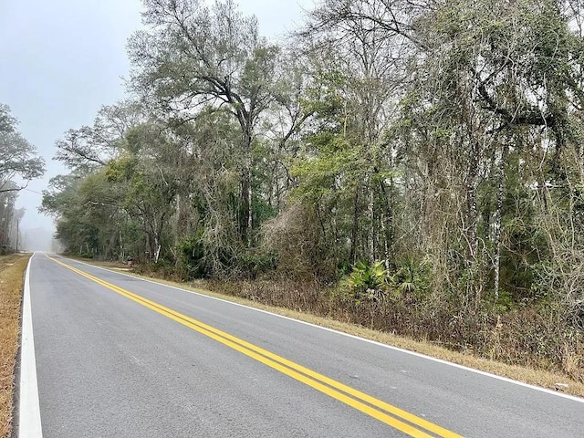 311 NE 316th Ave, Old Town FL, 32680 land for sale