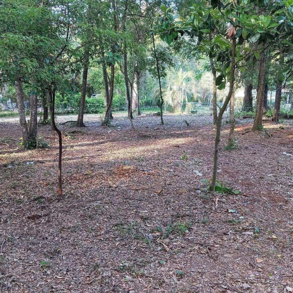 172-176 SE 155th Pl, Umatilla, FL 32784