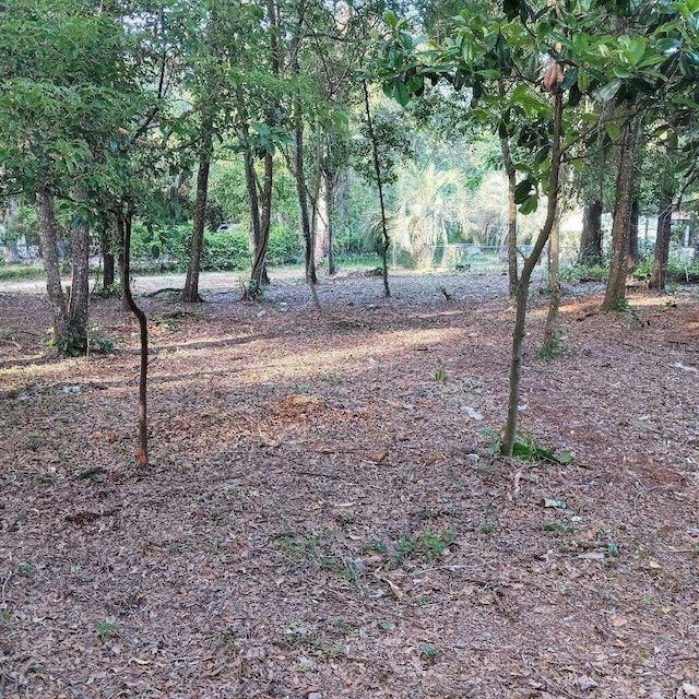 172-176 SE 155th Pl, Umatilla, FL 32784
