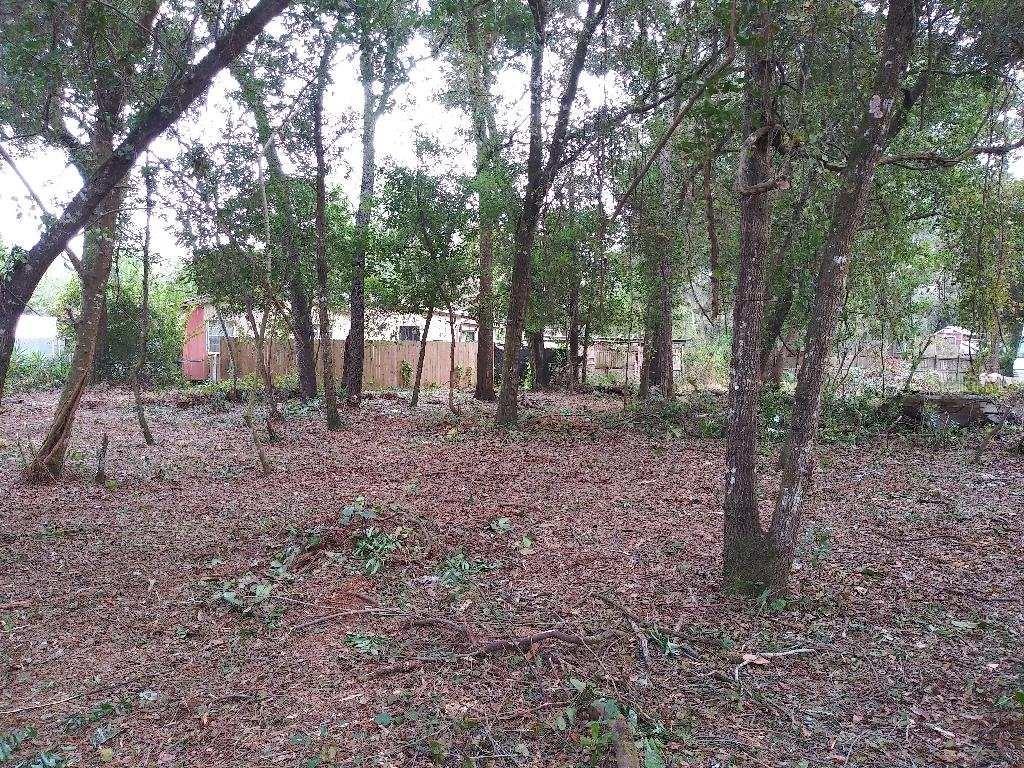 172-176 SE 155th Pl, Umatilla, FL 32784