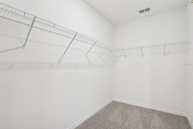 spacious closet featuring carpet