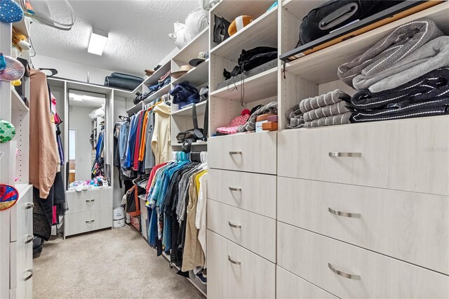 walk in closet with light colored carpet