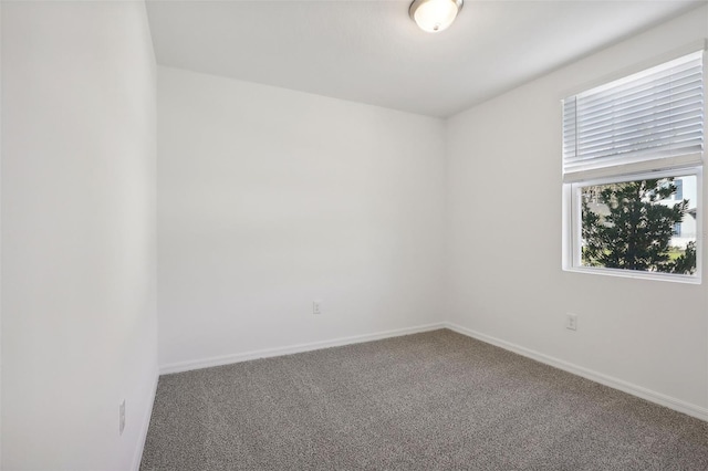 spare room with carpet flooring