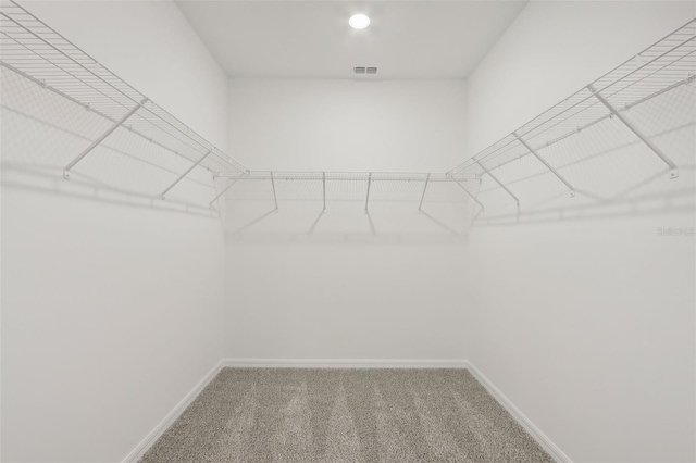 spacious closet with carpet floors