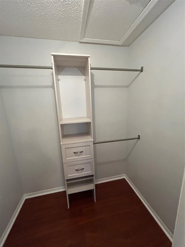 spacious closet with hardwood / wood-style floors