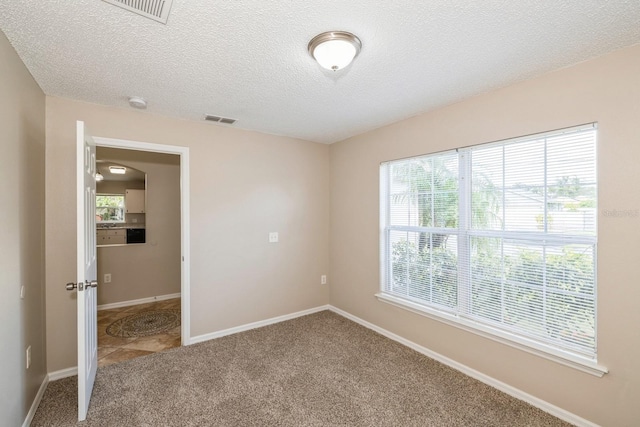 unfurnished room with carpet floors, a textured ceiling, and a wealth of natural light