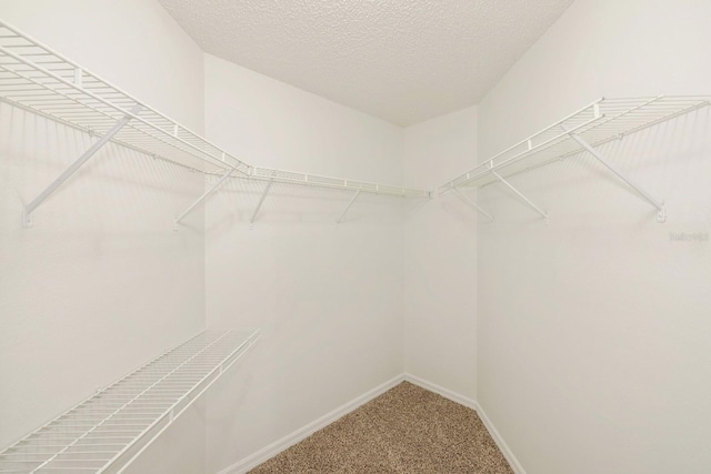 spacious closet with carpet