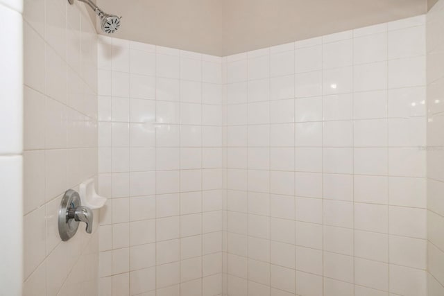 interior details with tiled shower