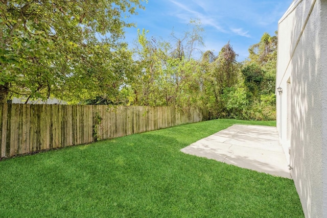 view of yard featuring a patio area