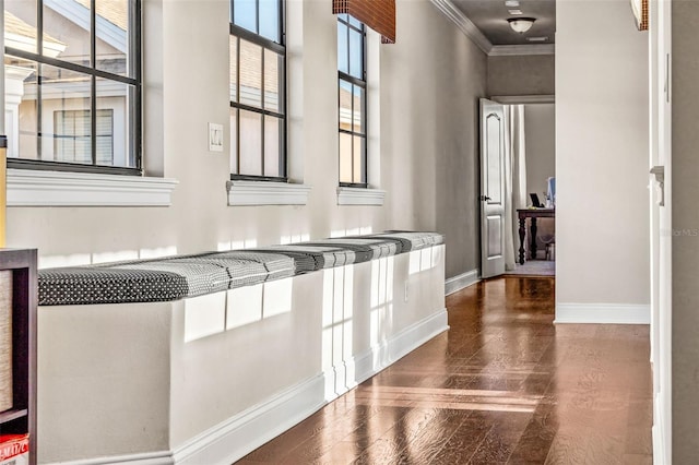 hallway featuring crown molding and dark hardwood / wood-style floors