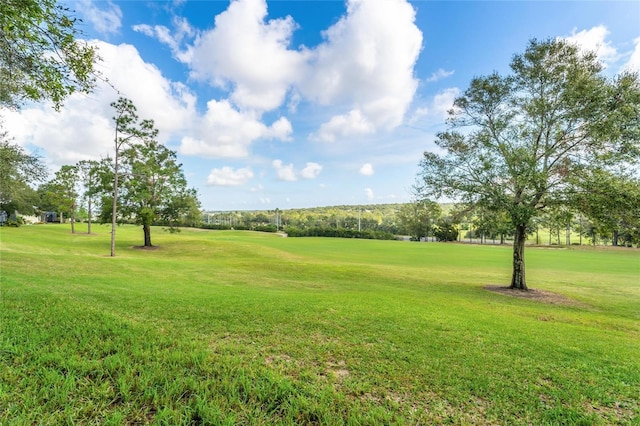 view of property's community featuring a yard