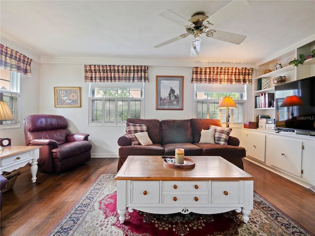 living room featuring ceiling fan, dark hardwood / wood-style flooring, and crown molding