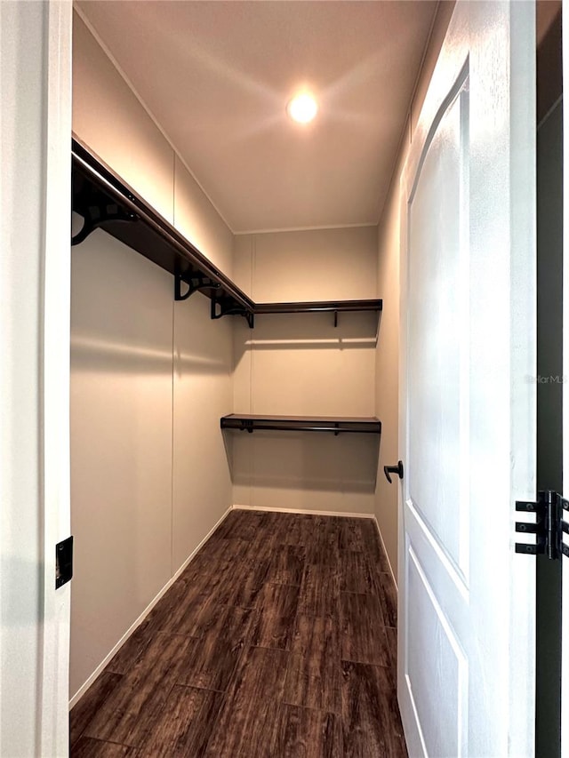 walk in closet featuring dark wood-type flooring