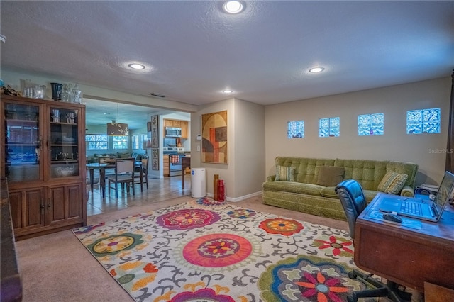 carpeted living room with a textured ceiling and a wealth of natural light