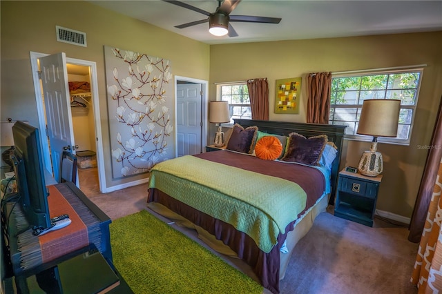 bedroom featuring a walk in closet, ceiling fan, a closet, and carpet floors