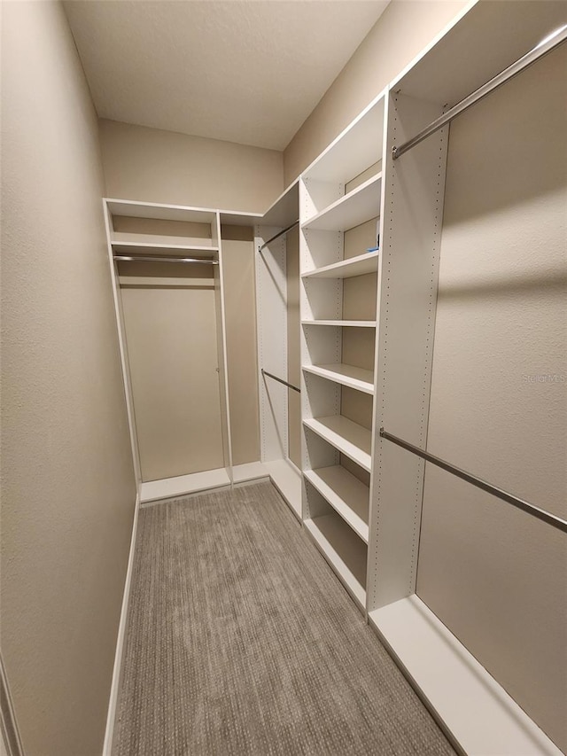 spacious closet with carpet floors