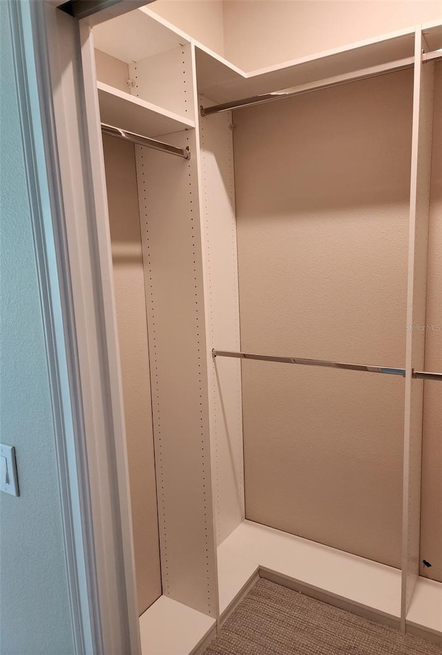 view of walk in closet