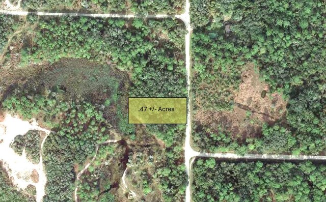 9111 Chimney Rock Dr, Webster, FL 33597 - photo 1