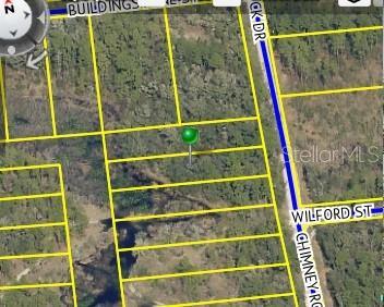 9111 Chimney Rock Dr, Webster, FL 33597 - photo 2