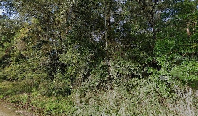 9111 Chimney Rock Dr, Webster, FL 33597 - photo 3