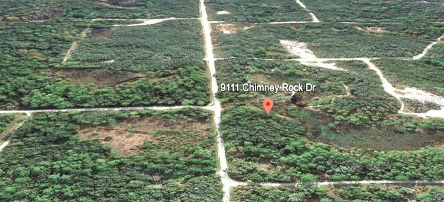 9111 Chimney Rock Dr, Webster, FL 33597 - photo 5