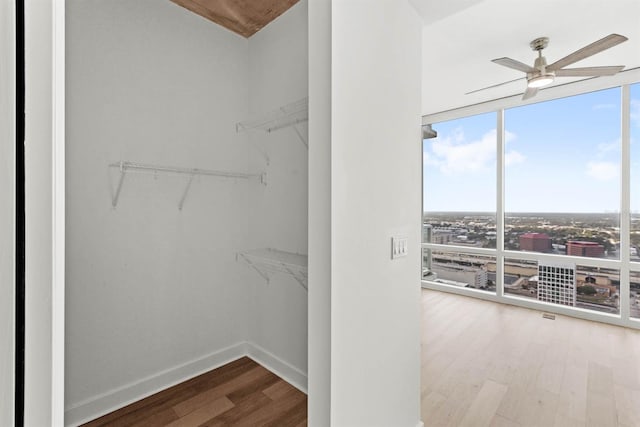 walk in closet featuring hardwood / wood-style floors and ceiling fan