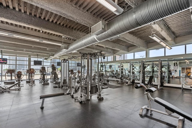 exercise room featuring plenty of natural light