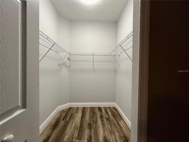 spacious closet with dark hardwood / wood-style floors