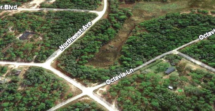 NW Ave, Webster, FL 33597 - photo 2