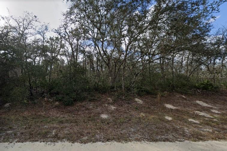 NW Ave, Webster, FL 33597 - photo 4