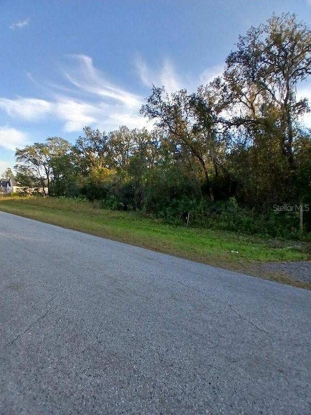 35050 Umbrella Rock Dr, Webster FL, 33597 land for sale