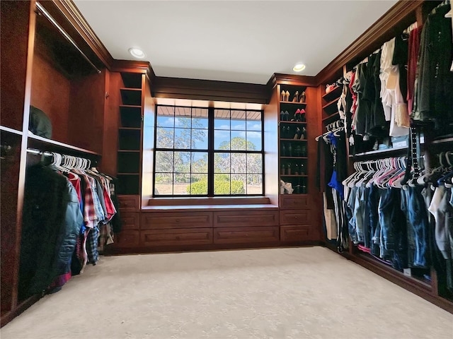 spacious closet featuring light carpet