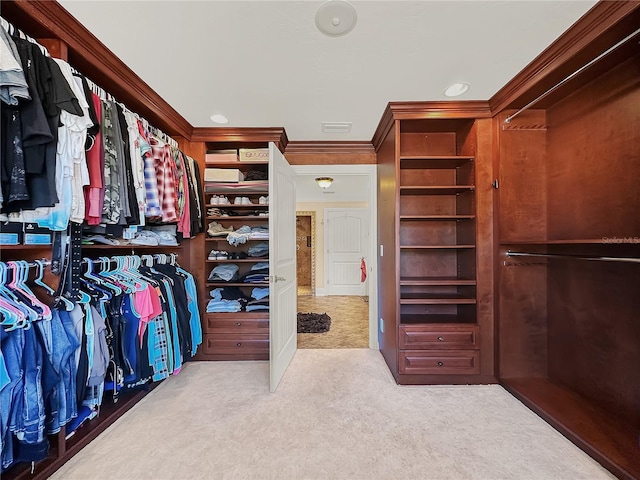 spacious closet with light carpet