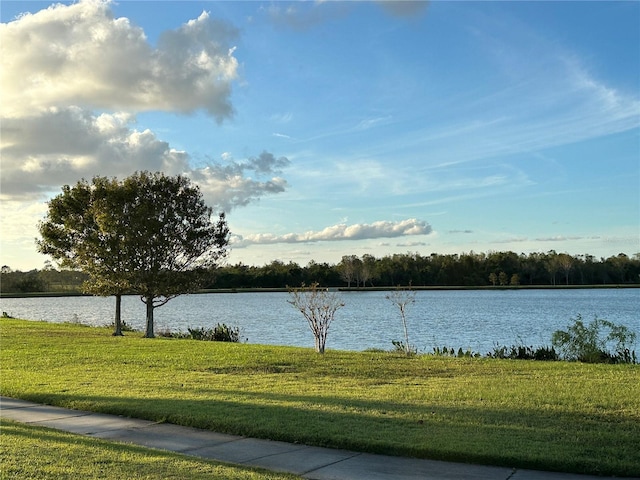 4803 Apple Blossom Ln Unit 4803, Saint Cloud, FL 34771 - water view