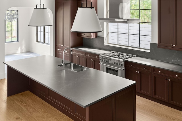 kitchen with ventilation hood, plenty of natural light, sink, and high end stainless steel range