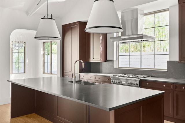 kitchen with island exhaust hood, sink, plenty of natural light, and a center island with sink