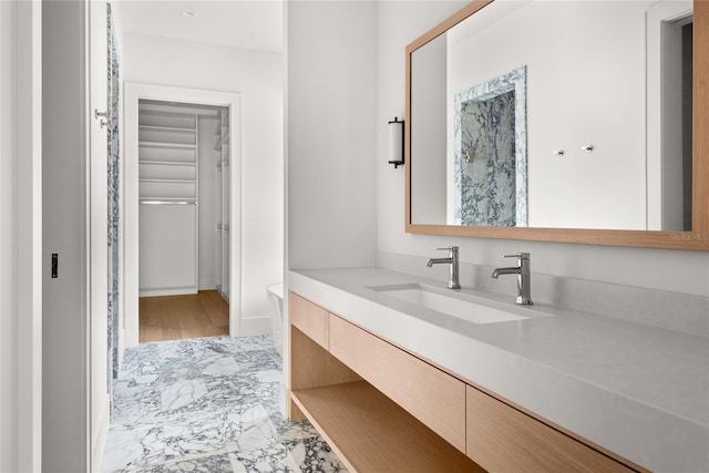 bathroom featuring hardwood / wood-style flooring and vanity