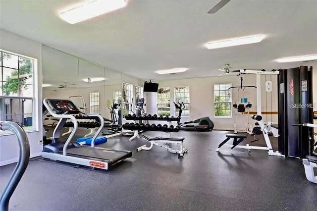 workout area with ceiling fan