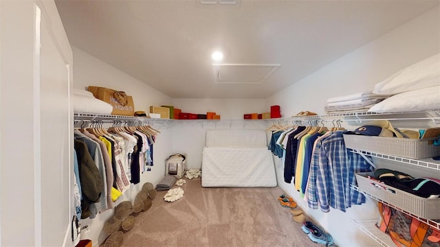 spacious closet featuring carpet floors