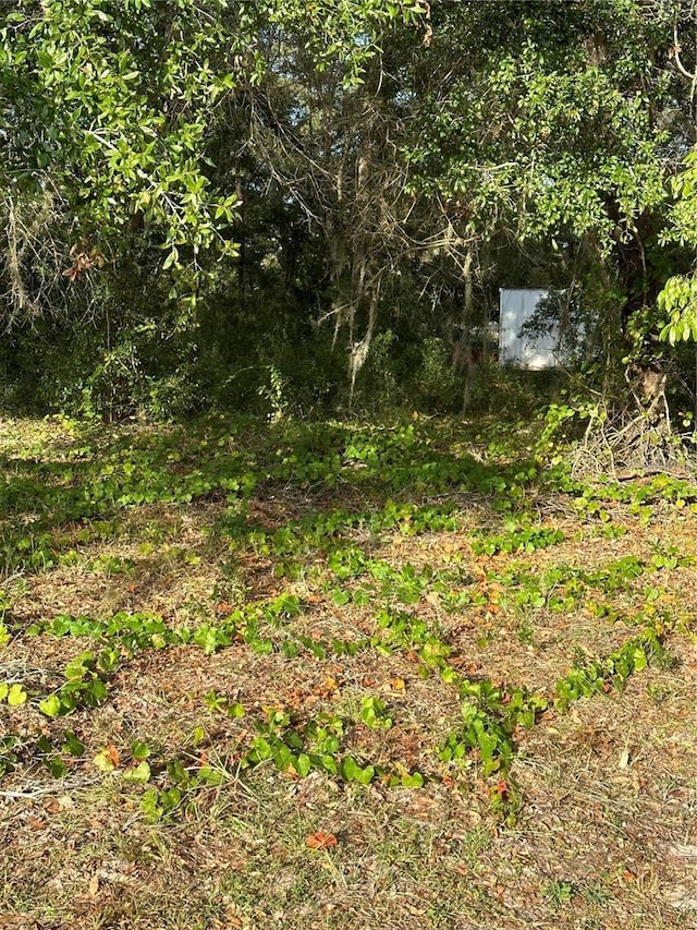 12144 N Gopher Pt, Dunnellon, FL 34433 - photo 6