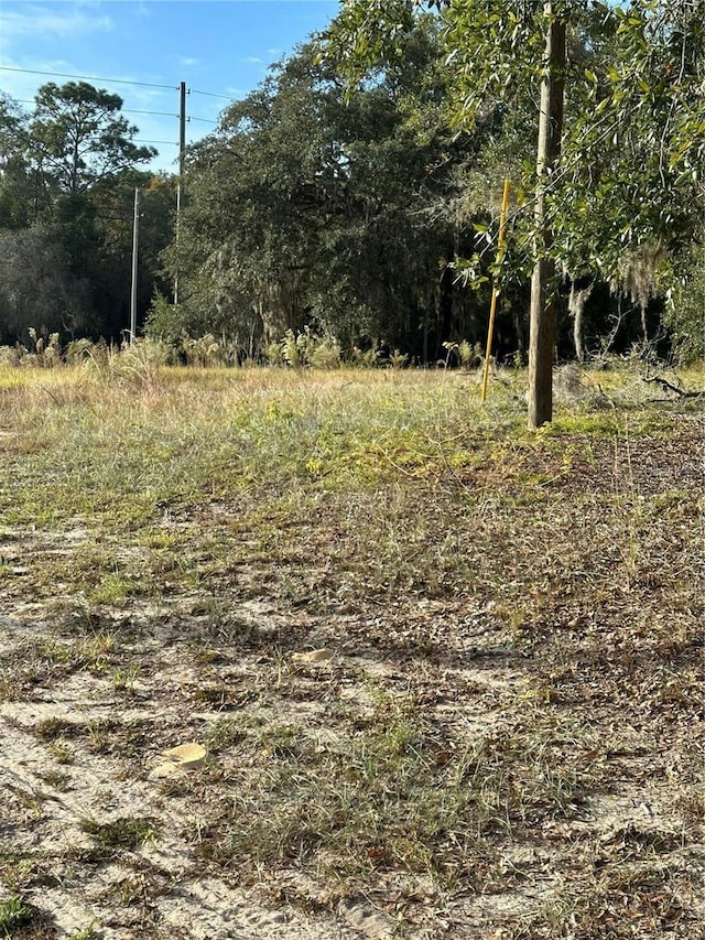 12144 N Gopher Pt, Dunnellon, FL 34433 - photo 7