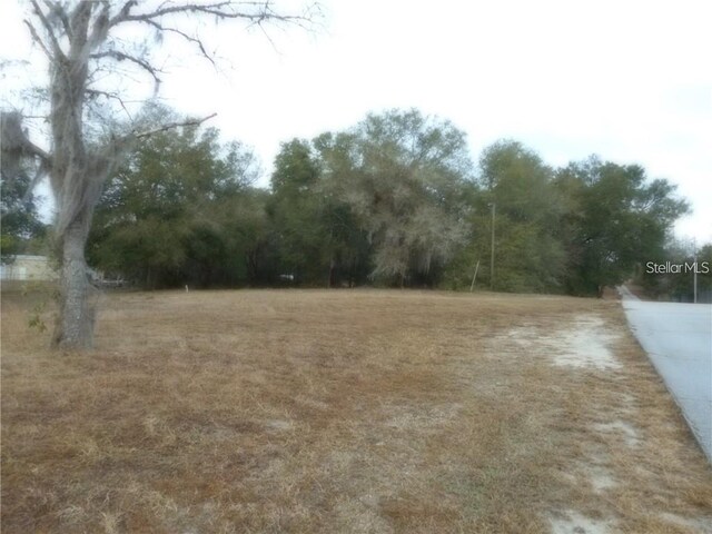 12144 N Gopher Pt, Dunnellon, FL 34433 - photo 8