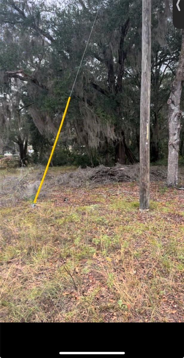 12144 N Gopher Pt, Dunnellon, FL 34433 - photo 3
